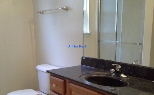 Downstairs Bathroom
