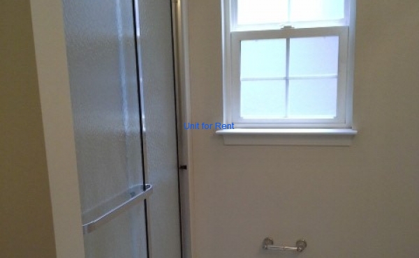 Downstairs Bathroom