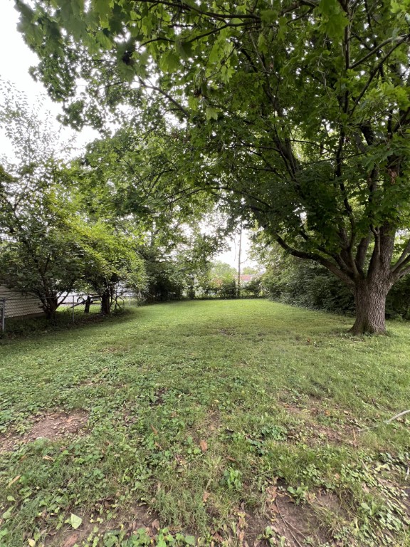 Backyard 1