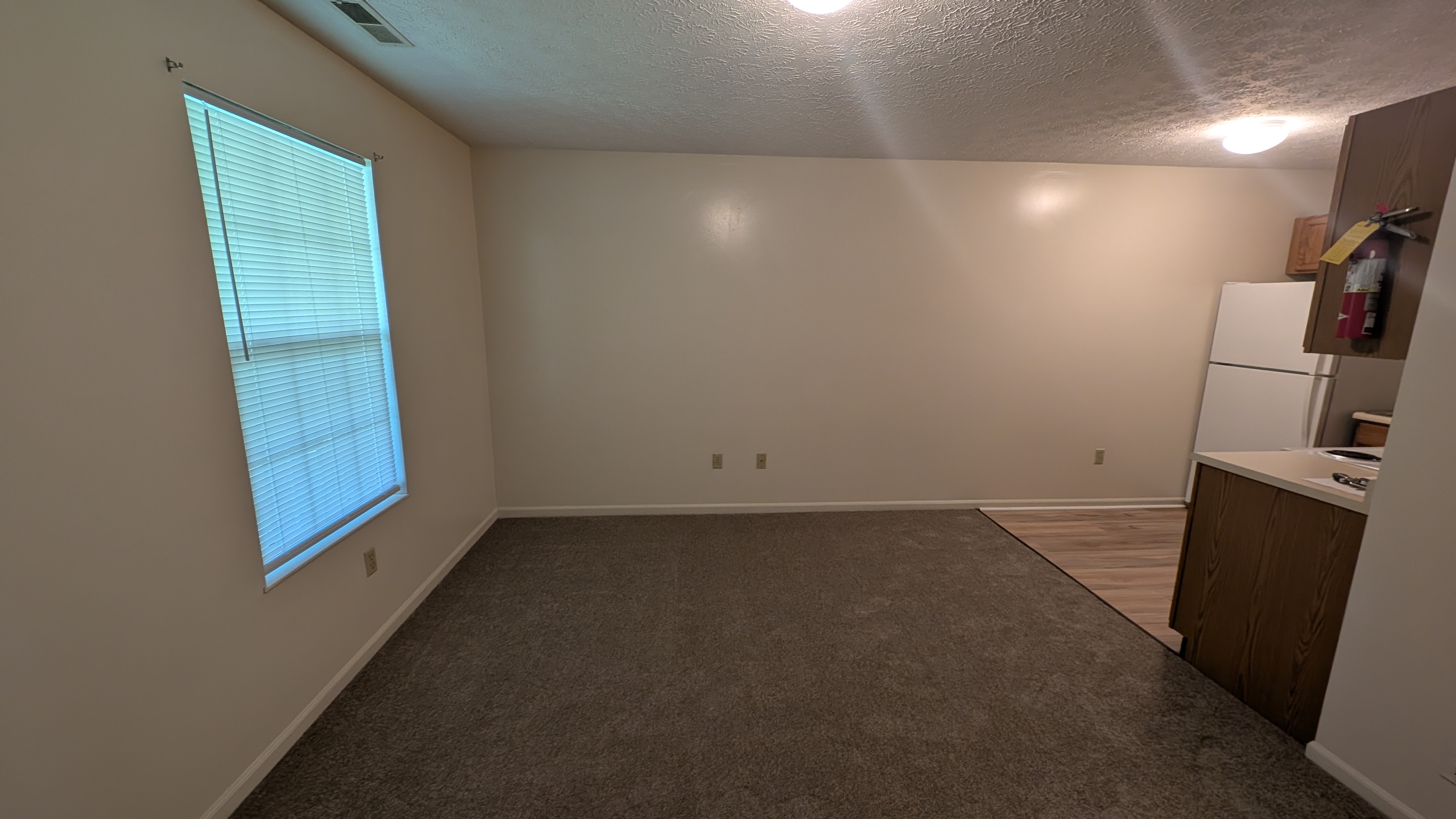 PXL_20250722_161029422 PXL_20250722_161029422