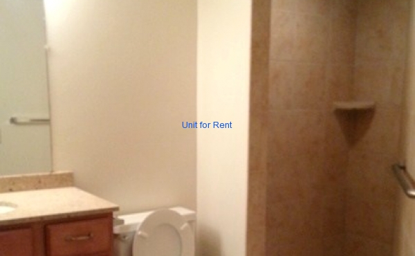 Hall bathroom