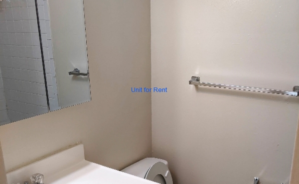 Downstairs Bathroom