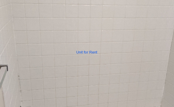 Downstairs Bathroom