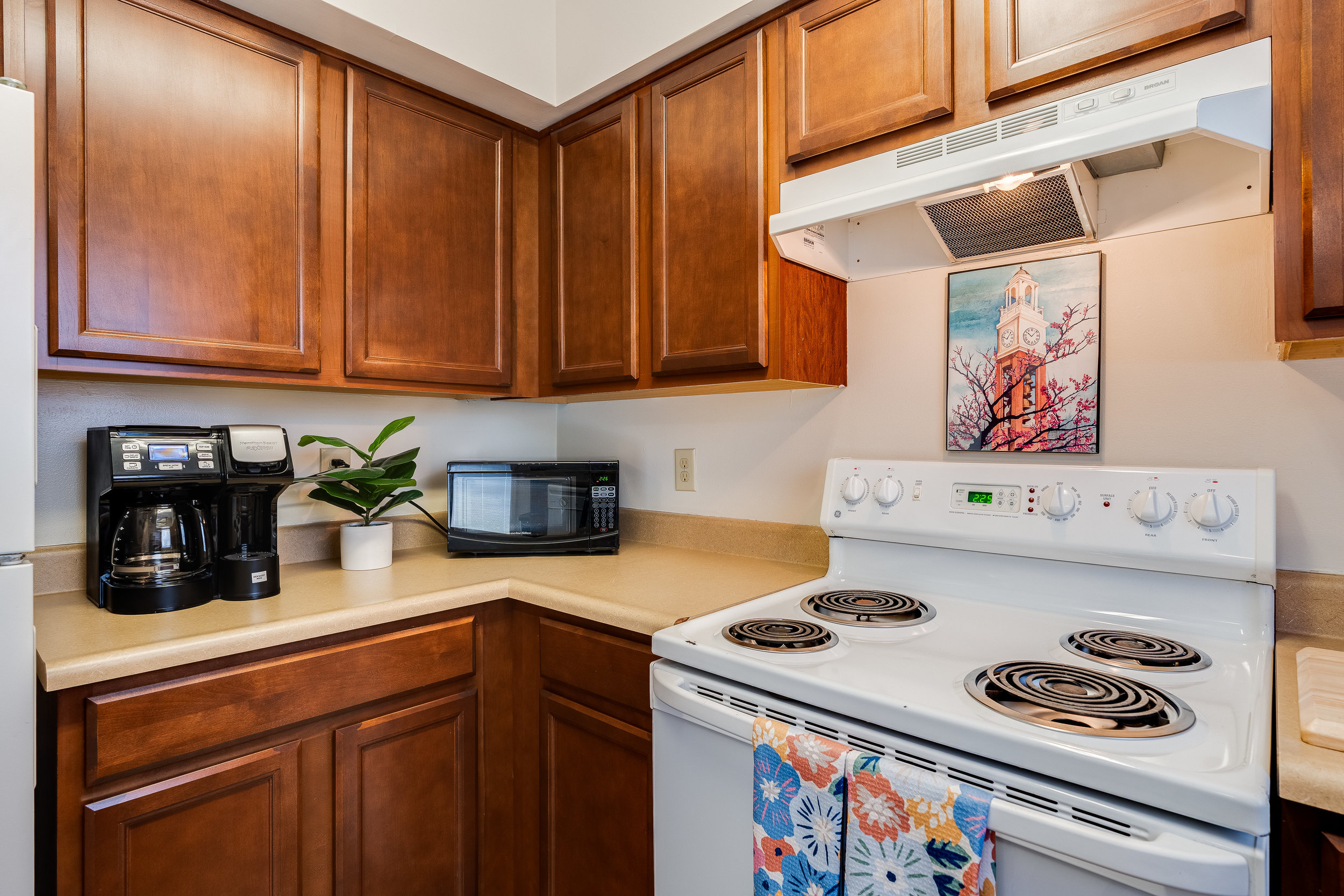 025_dsc02019_395 025_dsc02019_395