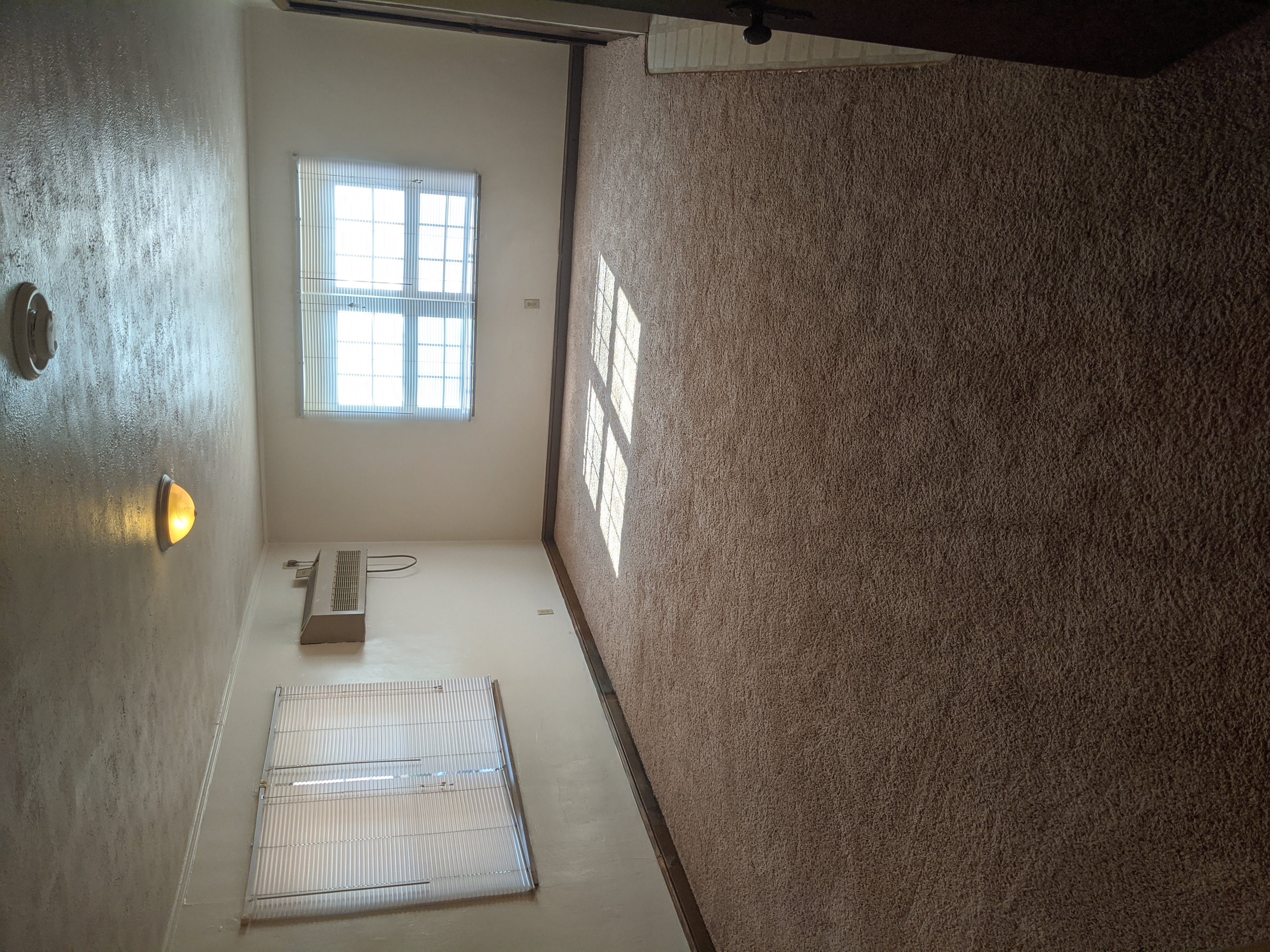 Living / Bedroom